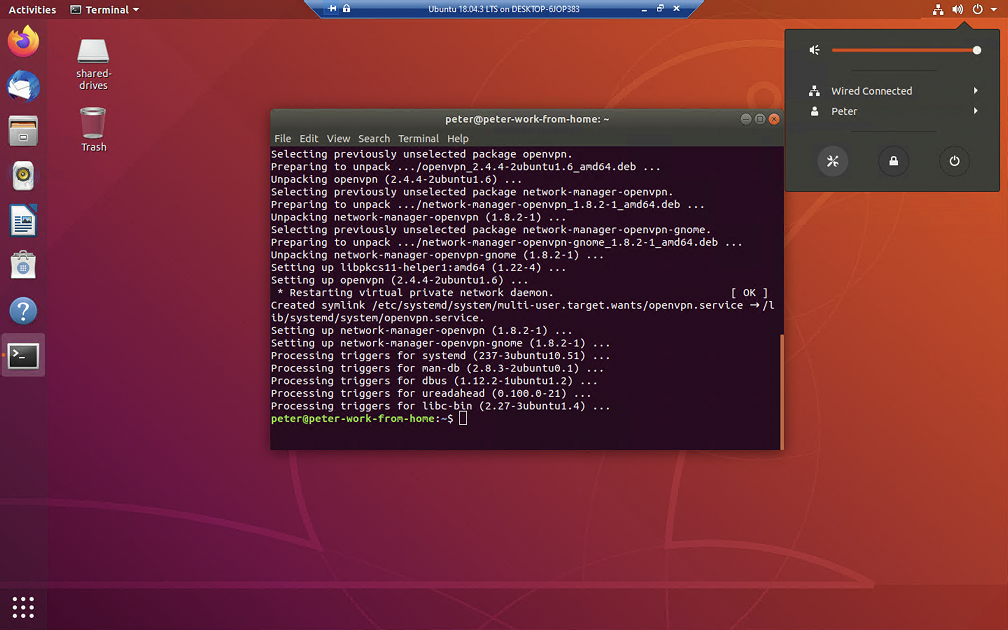 network-manager-openvpn-gnome installed